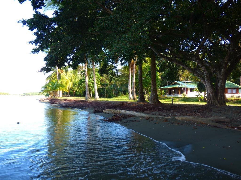 Corcovado Beach Lodge Puerto Jiménez Exterior foto